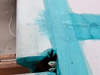 20240622 151116 8350